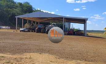 Imagem 5: Fazenda com 2 dormitórios à venda, m² por R$ 131.376.000,00 - Zona Rural - Canarana/MT
