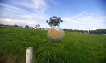 Imagem 3: Fazenda com 2 dormitórios à venda, m² por R$ 140.000.000,00 - Zona Rural - Formosa/GO