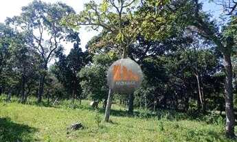 Imagem 4: Fazenda com 2 dormitórios à venda, 321376 m² por R$ 1.000.000,00 - Zona Rural - Pontalina