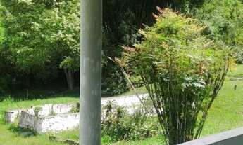 Imagem 6: 4900 mts imperdível motivo da venda idade avançada