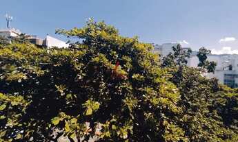 Imagem 5: RIO DE JANEIRO - Apartamento Padrão - Leblon