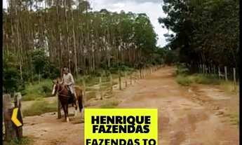 Imagem 5: Fazenda excelente para lavoura terra macia centro Tocantins