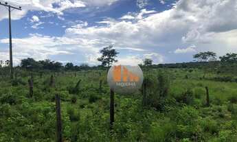 Imagem 4: Fazenda com 2 dormitórios à venda, 2613600 m² por R$ 16.200.000,00 - Zona Rural - Indiara