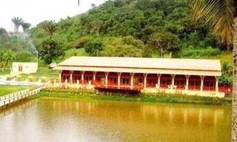 Imagem 3: Bananeiras Lotes Águas da Serra