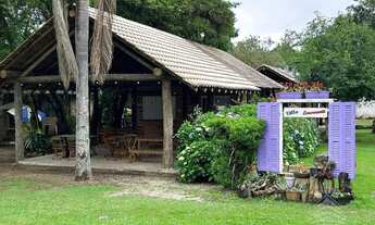 Imagem 6: Magnífica Chácara com 6.500m² no Caminho do Vinho, em São José dos Pinhais