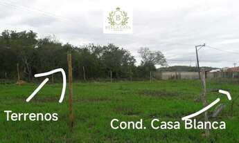 Imagem 2: Terreno de 2.000 m² à Venda em Morro Grande, Araruama Por R$180.000,00