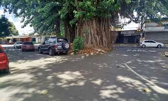 Imagem 3: Área comercial no Setor Coimbra