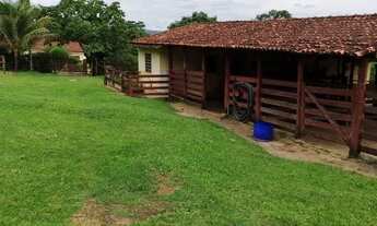 Imagem 5: Fazenda de 79 alqueires em Corumba-Go