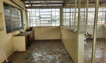 Imagem 4: Barracão à venda, 300 m² por R$ 550.000,00 - Alto Cafezal - Marília/SP