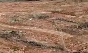 Imagem 4: Sítio em Buritis Minas Gerais