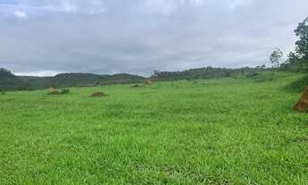 Imagem 2: Alugo pasto para gados e cavalos