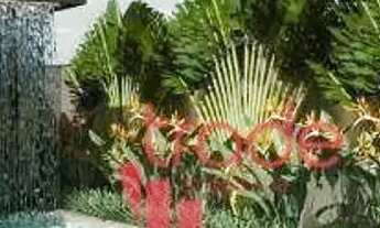 Imagem 6: Casa em Condomínio Fechado de 04 Suítes no Bairro Guaporé em Ribeirão Preto com Piscina