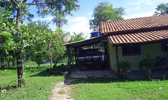 Imagem: Sítio na região de Cedral depois da acorizal