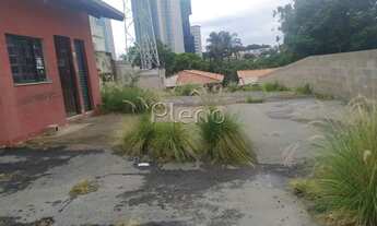 Imagem 3: Terreno à venda no Cambuí, Campinas