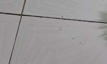 Imagem 4: Casa Casa com 2 dormitórios