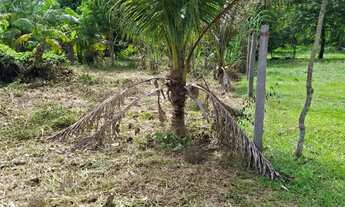 Imagem 5: Terreno na Francis Mendes 45 por 70 km 80