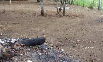 Imagem 4: /Lote em Açutuba com 800 m2