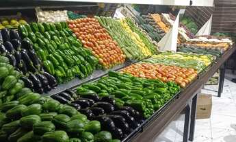 Imagem 5: Passo ponto com sacolão todo montado