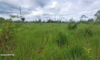Imagem 2: Vende se 75 hectare de terra 300x2700