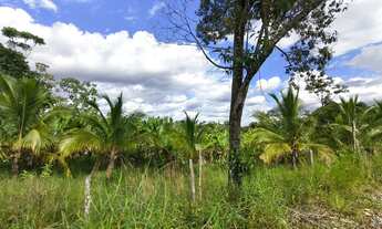 Imagem 3: Imóvel para venda tem 12000 metros quadrados em Vila Nova - Pacaraima - RR