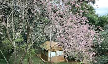 Imagem 6: Casa com 6 quartos à venda ou para locação em Roseira - SP