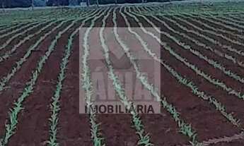 Imagem 4: Fazenda a Venda no bairro Área Rural de Morrinhos - Morrinhos, GO