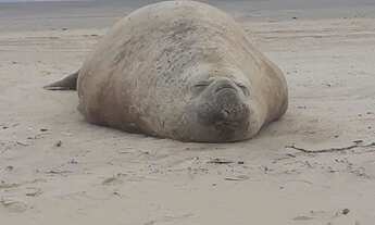 Imagem 7: Vendo Casa Na Barra Velha, Balneário Rincão