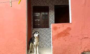 Imagem: Vendo casa 2/4 perto do final de linha de