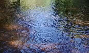 Imagem 7: Vendo lote em Chácara