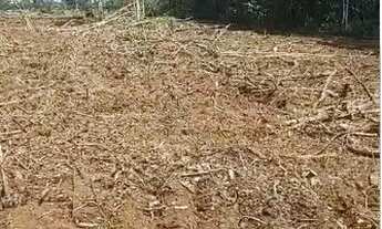 Imagem 3: Fazenda de 126 alqueires (302,4 Hectares) para dupla aptidão