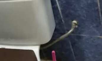 Imagem 3: Vende casa na nova conquista