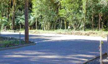 Imagem 7: Lote em condomínio em Jose Pedro Piva - Sinoserra - Canela/RS