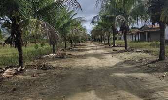 Imagem: Vendo maravilhosa fazenda no município