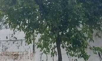 Imagem 5: COMERCIAL - MOOCA - SP