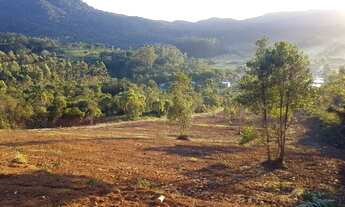 Imagem 2: Chácara/Sítio em Porto Belo