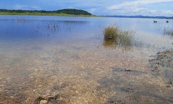 Imagem 5: Lotes no lago serra da mesa