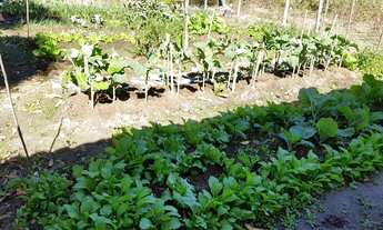 Imagem 6: Sítio à venda, 5 quartos, 5 vagas, Centro - Inhaúma/MG