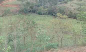 Imagem 2: Vende uma terra Fazenda / sítio com venda por R$200.000