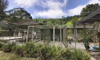 Imagem 4: Sítio na grande Florianópolis -SC