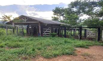 Imagem 7: Vendo chácara de 6.1/2 alqueires a 26km de Parauapebas