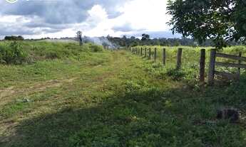 Imagem 5: Fazenda Á VENDA EM CENTENÁRIO - TO - 363 HECTARES (PECUÁRIA