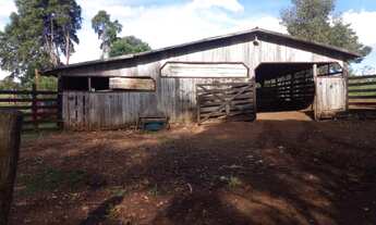 Imagem 6: Belíssima Fazendinha com 48 ha em Campos Novos - SC