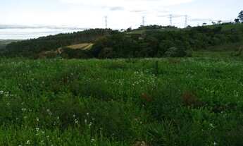 Imagem: Lote/Terreno para venda tem 1000 metros
