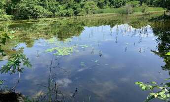 Imagem 3: Fazenda em Almas-TO. 80 alqueires