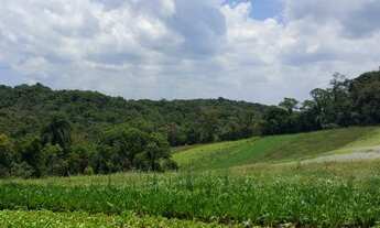 Imagem 5: Grande oportunidade