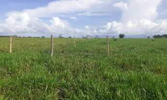 Imagem 5: R$ 3,5 milhões fazenda pronta no asfalto 237 hectares sentido Capanema