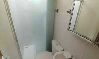 Imagem 5: Jardim Paradiso Alpinia