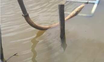 Imagem 4: Propriedade em São Mateus