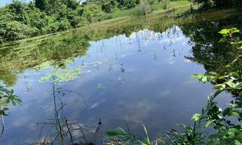 Imagem 4: Fazenda em Almas-TO. 80 alqueires