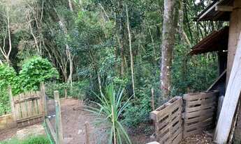 Imagem 7: Chácara para venda possui 12000 metros a 25 minutos do centro de São José dos Pinhais